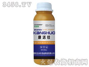 �����-�Ҷ���-����S