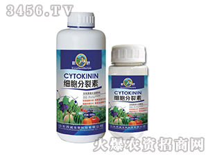 ����������-��(y��u)��-�������� 