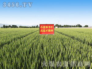 ���S3̖(h��o)��һ��