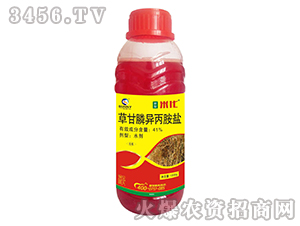 41%�ݸ�좮������}-�׻�-��������