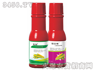 ��������݄�-����֮�����w��ͪ-(li��n)���r(n��ng)�I(y��)