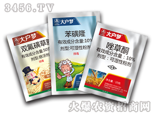 С������݄�3�M��-����(m��ng)-�к����_(d��)