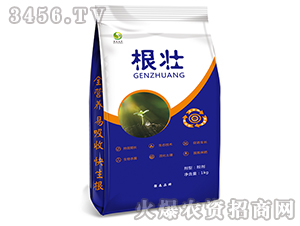 ����-��ɭ�r(n��ng)��