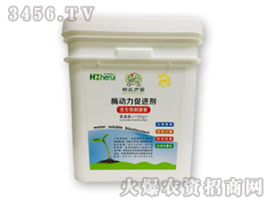 ø�������M��-���𻯹�