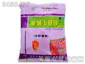 金城188(新丹9號)-玉米種子-天成種業(yè)