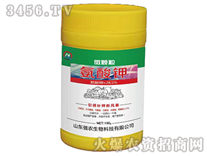 ΢�w�������-���r����