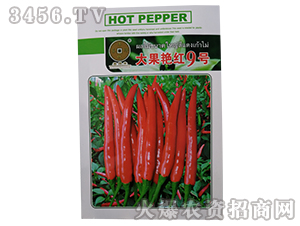 ����G�t9̖(h��o)-�����N��-�A��N�I(y��)