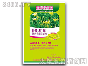 �S��������ó��݄�-���g�Ե�