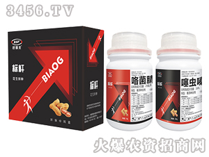 ������N��-��(bi��o)�U-������