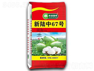 �����66̖(h��o)-�޻��N��-������ 