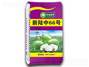 新陸中66號(hào)-棉花種子-冠王花