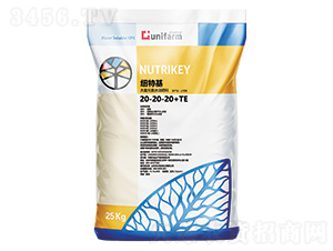 土耳其原裝進口20-20-20+TE