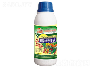 ���\�}�V�F-�ﲩ��-�|������ 