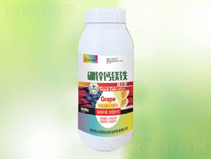 ���\�}�V�F-�䠖-�|������ 