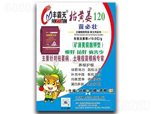 枯黃萎120【單頁(yè)】-豐霸天-利豐元