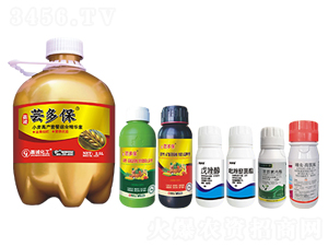 С���߮a�ײͣ�ʮ���w����-�|�ౣ-���\���� 