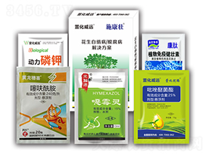 花生白絹病根腐病解決方案-施康壯-萱化威遠(yuǎn)