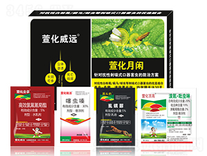 �滯���e-�滯���h