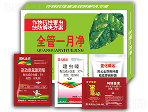 ȫ��һ��-�滯���h