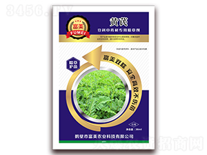 �S��������������ˎ�ĳ��݄�-����