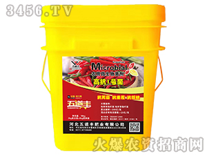 高抗1號菌（農(nóng)用微生物菌劑）-五道豐
