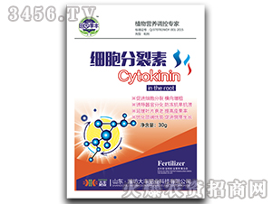 ����������-��@���S-���S�ʘI(y��) 