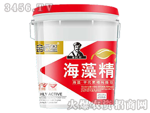 ���徫-����