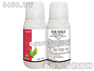 ˪ù���fù�`-����z-��ֲ���A