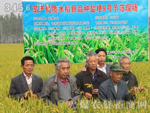 �}��9̖-ˮ���N��-�߿ƷN�I(y��)