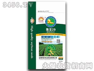 豫豆29-大豆種子-東星