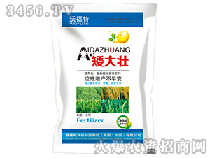 矮大壯-沃福特-東星農(nóng)業(yè)