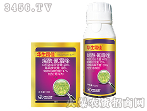 烯?！で杷?華生霜佳-上品生物