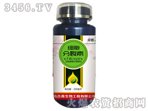 ����������-���� 