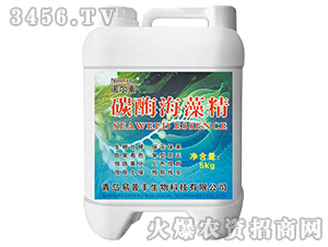 碳酶海藻精-諾爾素-易普豐