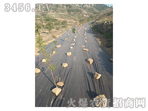 �@�ֵز�-����