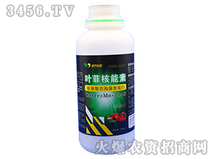 �������Ϻ����~����-�~�ƺ�����-�°��~�� 