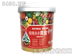 ��������S���-�ǵ�ʩ��-��˹�m�� 