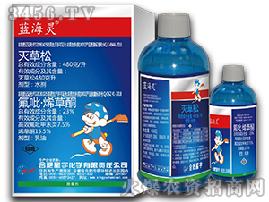 �o�~���݄�-�{(l��n)���`-�Ϸ�����