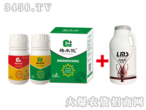 �������ί������M��-���׃�(y��u)-�Ơ���˹ 