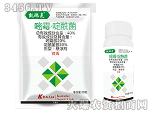 ��ù�������-�P���