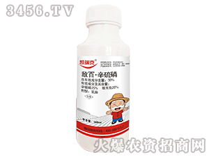 50%���١�������-�P���