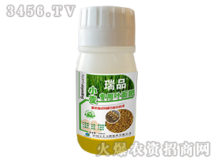 С����(zhu��n)���~���-��Ʒ-���S�f(w��n)¡ 