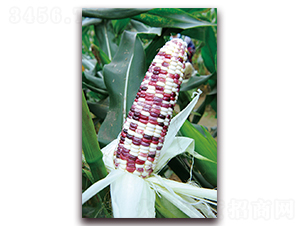 �A������Ŵ1̖-Ŵ���׷N��-�A���N�I(y��)