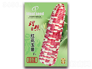 �t����-Ŵ���׷N��-�����r(n��ng)�I(y��)