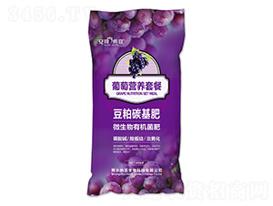 葡萄營(yíng)養(yǎng)套餐-安琦納豆-商水納豆