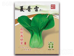 夏普雷（耐熱青梗菜）-青梗菜種子-理想農(nóng)業(yè)