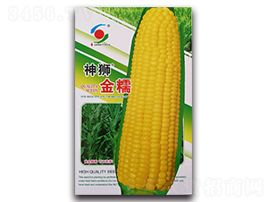 ��{��Ŵ-Ŵ���׷N��-�����o(j��)