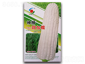 ��{���Ŵ-Ŵ���׷N��-�����o(j��)