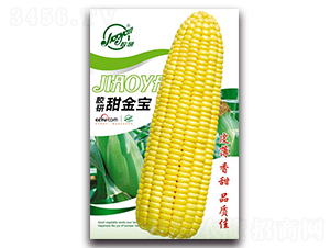 �z�������-�����׷N��-�z��