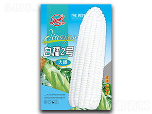 ��Ŵ2̖-Ŵ���׷N��-�z��